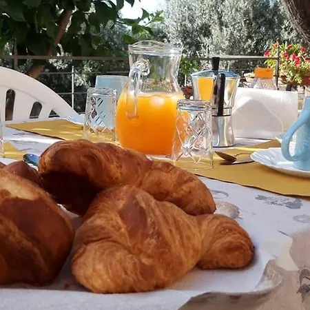 Fiori Di Campo Pet Friendly 3* Ripa Teatina