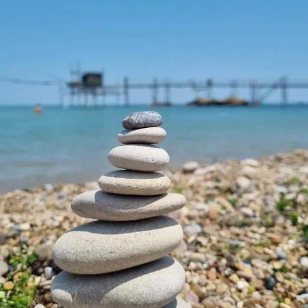 Fiori Di Campo Pet Friendly Ripa Teatina