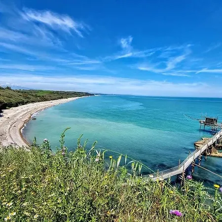 Fiori Di Campo Pet Friendly