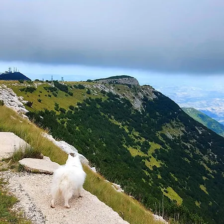 Fiori Di Campo Pet Friendly Panzió Ripa Teatina