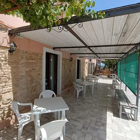 Fiori Di Campo Pet Friendly