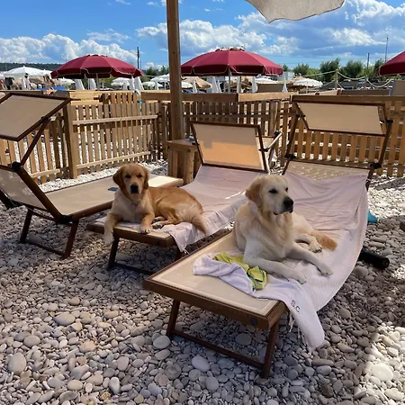 Fiori Di Campo Pet Friendly Panzió