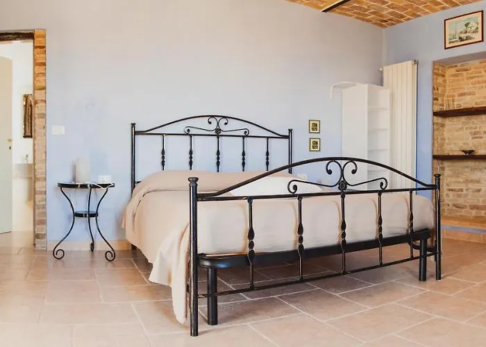 Fiori Di Campo Pet Friendly