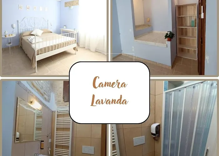 Fiori Di Campo Pet Friendly 3*