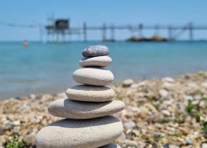 Fiori Di Campo Pet Friendly Ripa Teatina