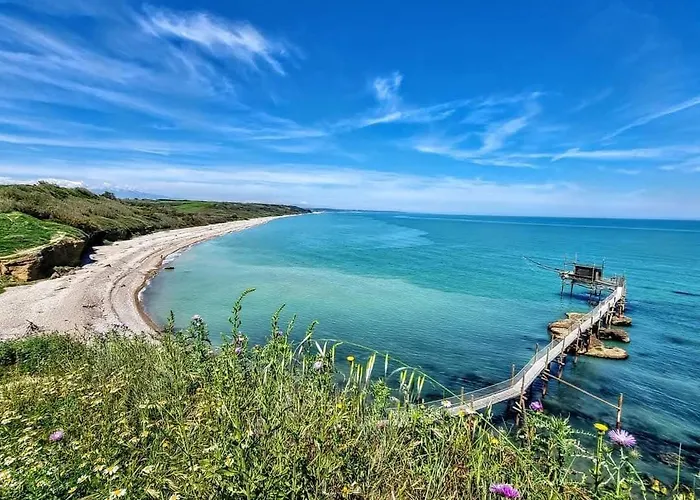 Fiori Di Campo Pet Friendly