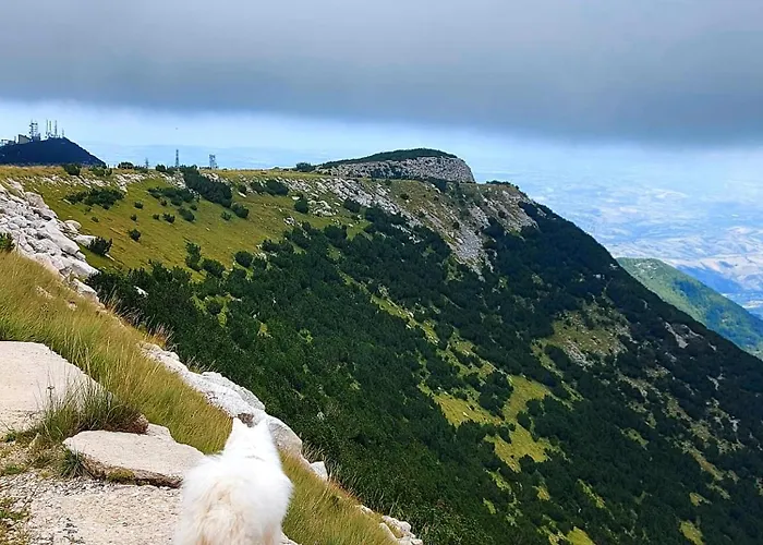 Fiori Di Campo Pet Friendly Bed & Breakfast Ripa Teatina