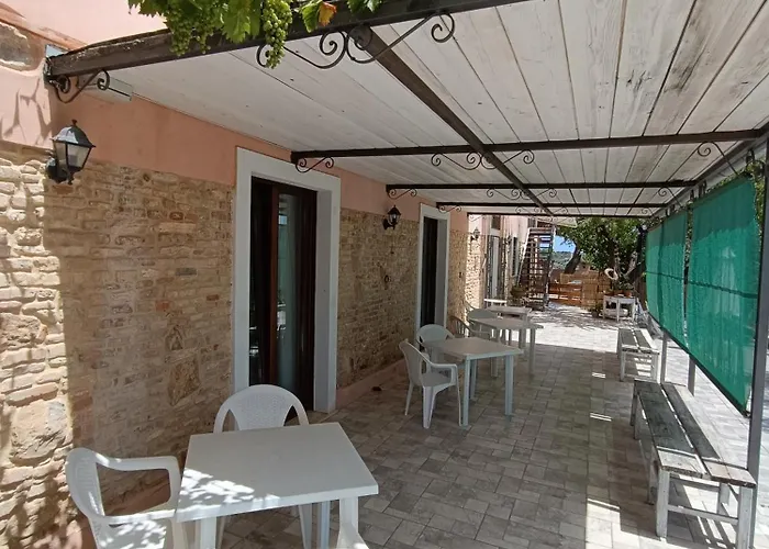 Fiori Di Campo Pet Friendly