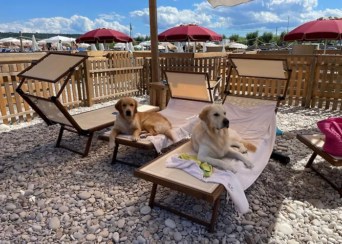 Fiori Di Campo Pet Friendly Bed & Breakfast